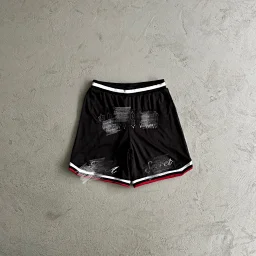 thumbnail for TS-mesh embroidered shorts