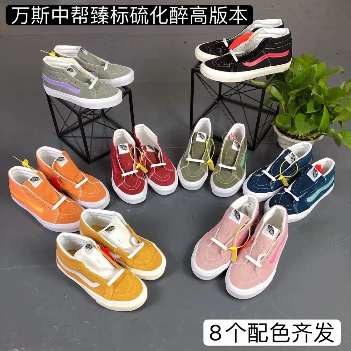 Vans Mid-Top Skateboard Shoe