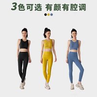 Alo Vest — seller photo 5