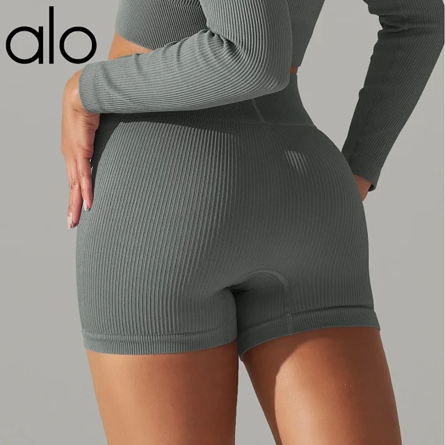Alo Shorts Ribbed High-Waist Biker product detail image 15