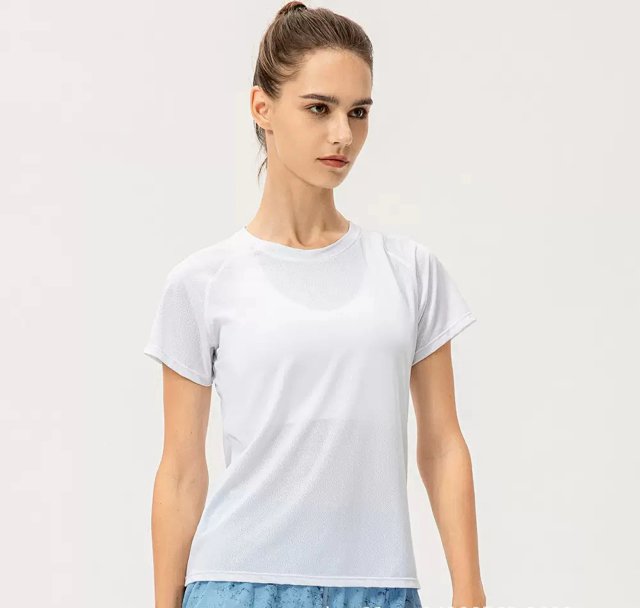Alo Tee: seller detail photo 6