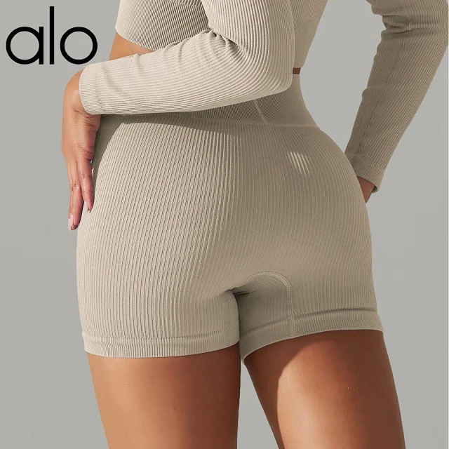 Alo Shorts Ribbed High-Waist Biker product detail image 7