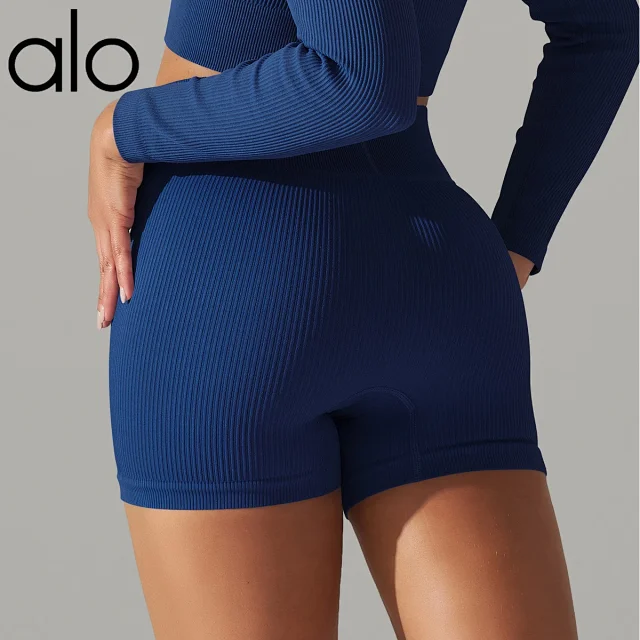 Alo Shorts Ribbed High-Waist Biker product detail image 22