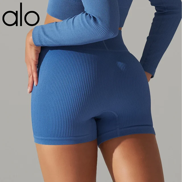 Alo Shorts Ribbed High-Waist Biker product detail image 8