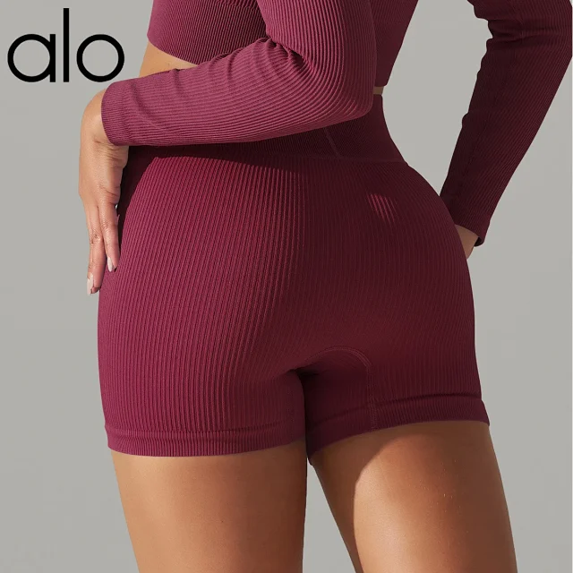 Alo Shorts Ribbed High-Waist Biker product detail image 12