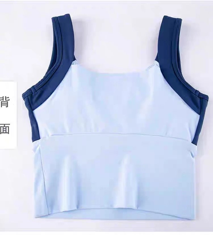Alo Yoga Light Blue and Navy Sports Bra Activewear - 34