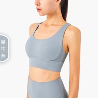 Rhino Gray