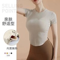 Alo Tee — seller photo 3