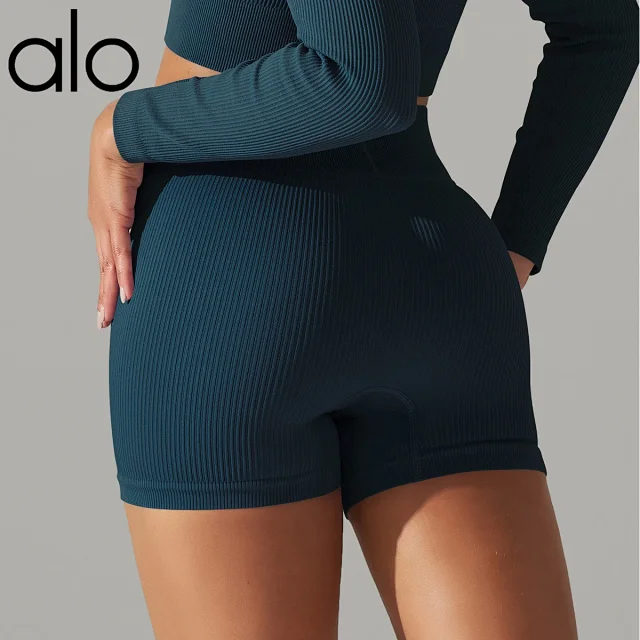 Alo Shorts Ribbed High-Waist Biker product detail image 38