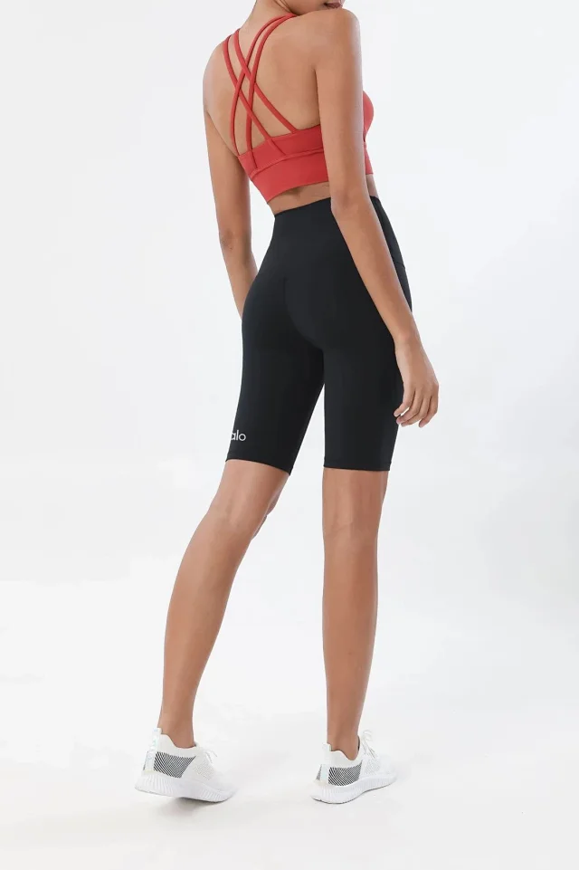 Alo Shorts High-Waisted Biker product detail image 23
