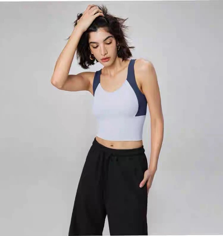 Alo Yoga Light Blue and Navy Sports Bra Activewear - 21