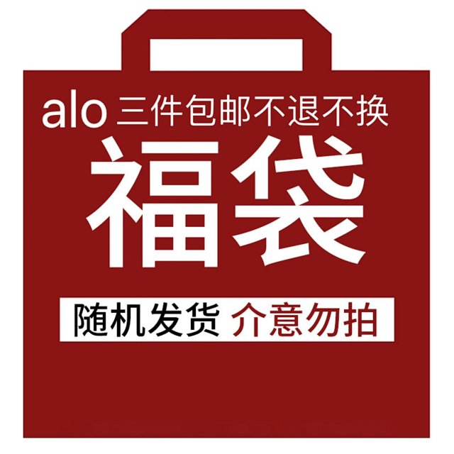 Alo Hoodie: seller detail photo 1
