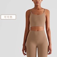 Cocoa color