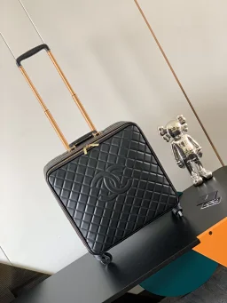 thumbnail for CH luggage