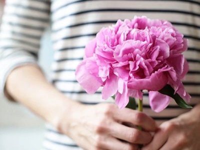 牡丹 芍药 4招教你辨清 牡丹 芍药 4招教你辨清