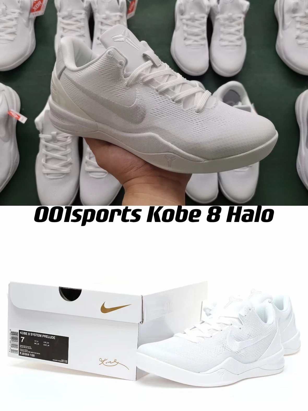 Kobe 8 Halo
