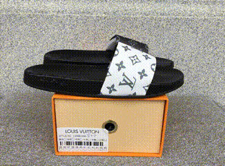 Louis Vuitton Monogram Slide Sandals T-Shirt