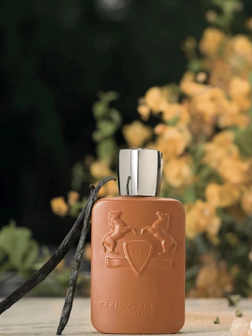 【 Counter Version 】 A miracle comes out of the unpopular! PARFUMS DE MARL Men's Altay perfume 125ml
