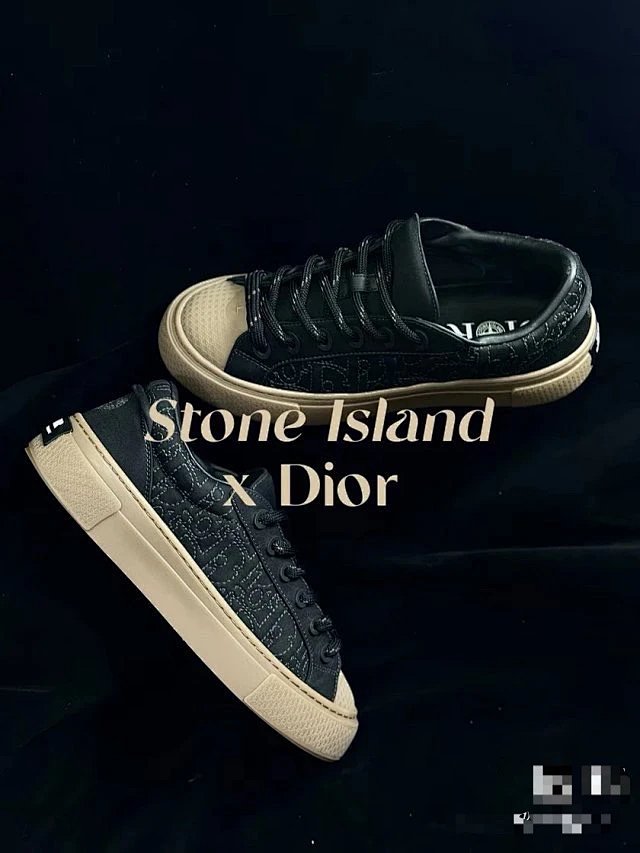 ZC Stone Island X Dior