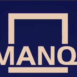 Manqi Accessories Light Luxury