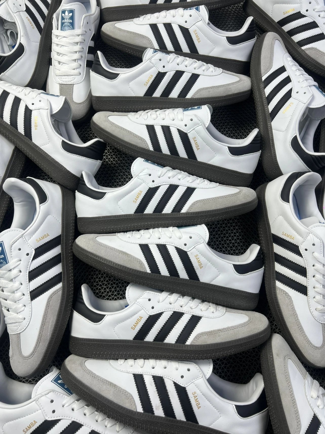 Premium Training Shoe