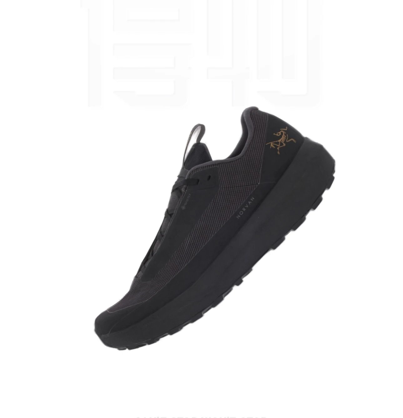 NORVAN LD 4 GTX Waterproof Trail Hiking Shoe