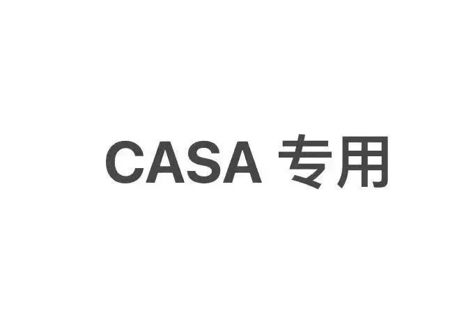 CASA 84
