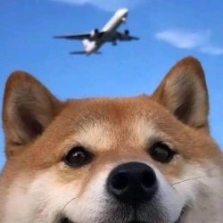 dontutuz