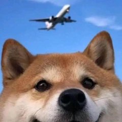 dontutuz