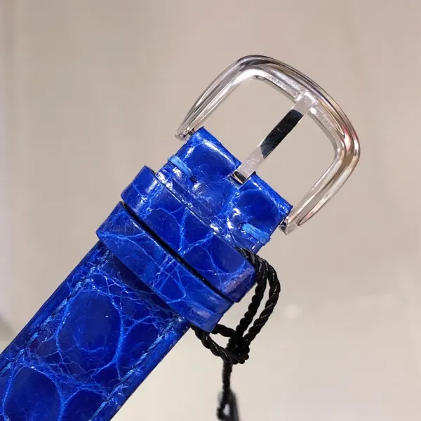 Franck Muller Curvex Blue Alligator Strap Mechanical Watch Watches - 71