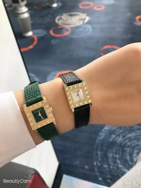 Dior La D de Dior Green Python Strap Quartz Watch Watches - 33