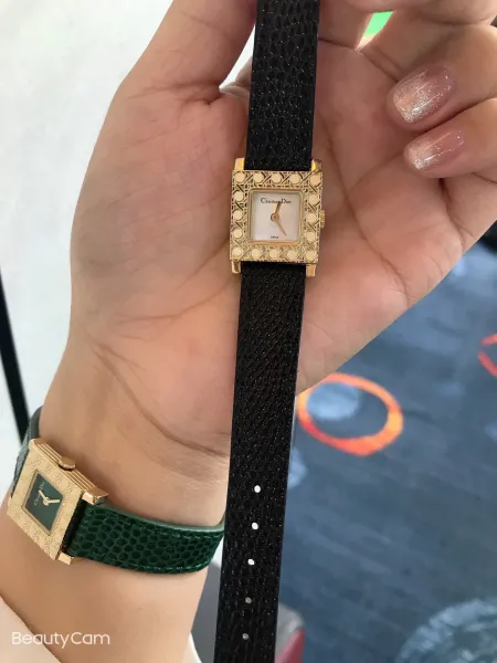 Dior La D de Dior Green Python Strap Quartz Watch Watches - 31