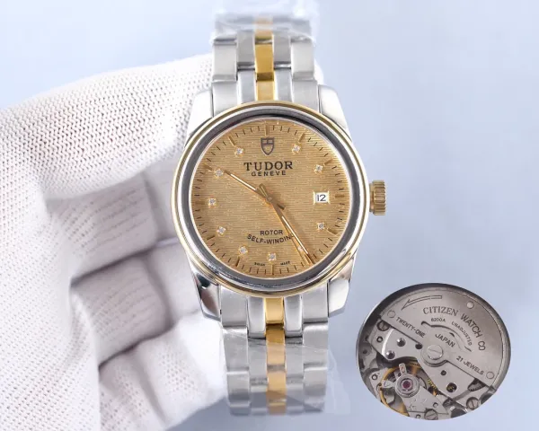 Design Tudor Geneve Classic Silver Dial Diamond Hour Markers Mechanical Watch Watches - 17