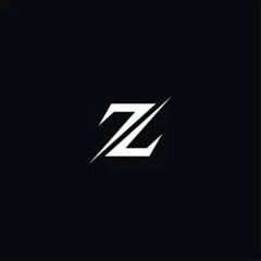 Zinh Store