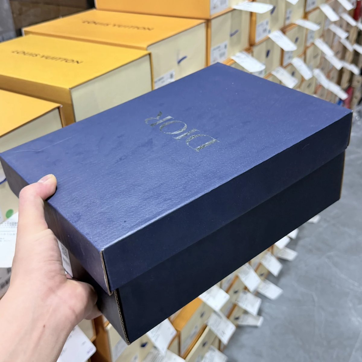 Budget B27 Sneakers