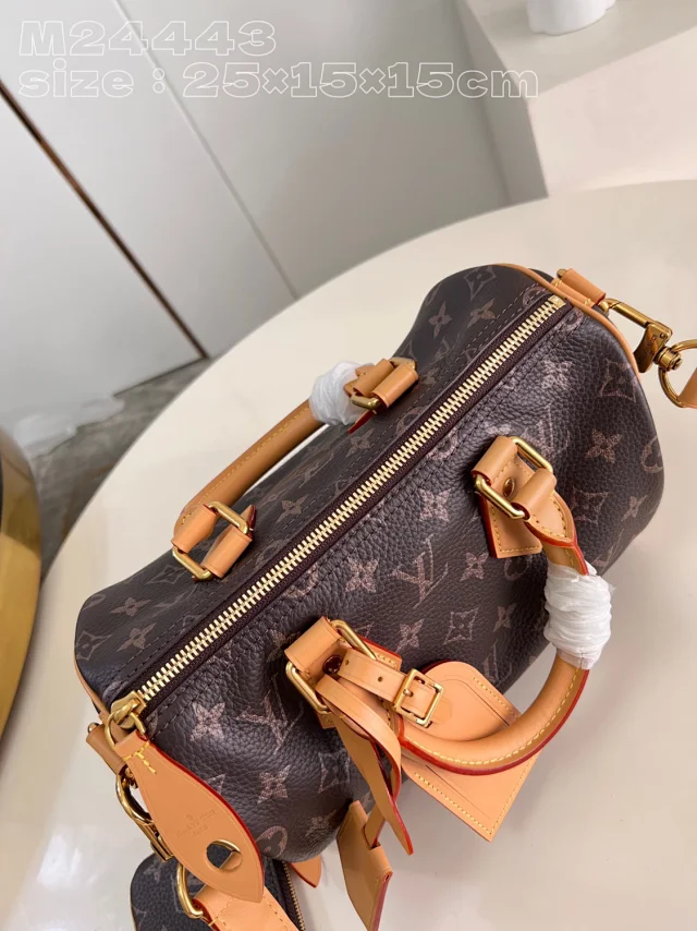 Louis Vuitton Handbags Monogram top-handle bag with detachable shoulder strap product detail image 11