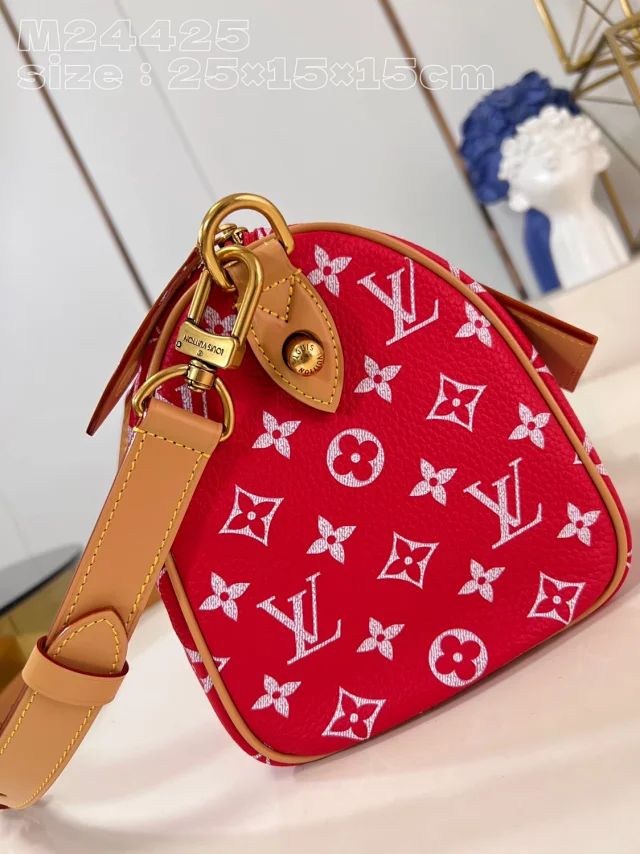 Louis Vuitton Handbags Monogram top-handle bag with detachable shoulder strap product detail image 17