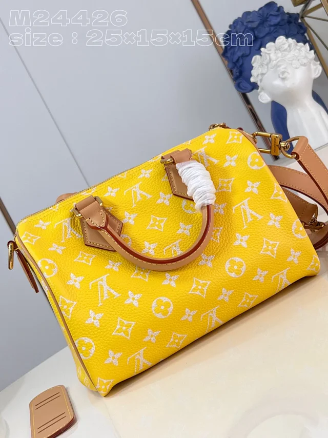 Louis Vuitton Handbags Monogram top-handle bag with detachable shoulder strap product detail image 30