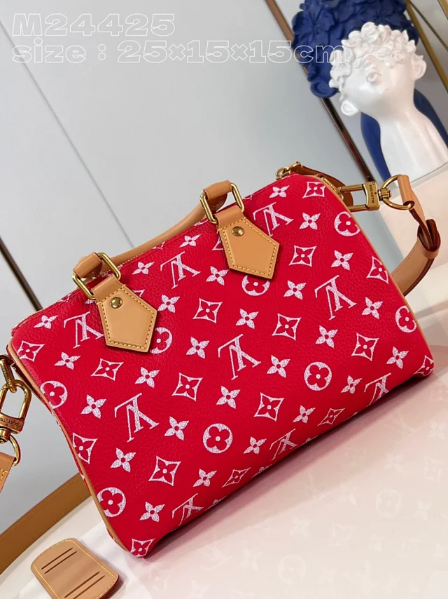 Louis Vuitton Handbags Monogram top-handle bag with detachable shoulder strap product detail image 20