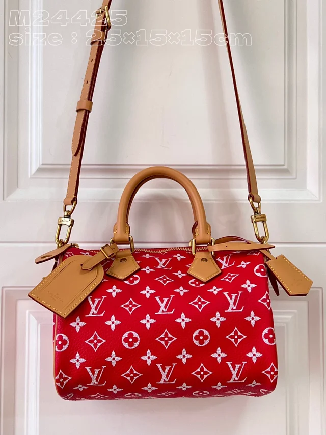 Louis Vuitton Handbags Monogram top-handle bag with detachable shoulder strap product detail image 13