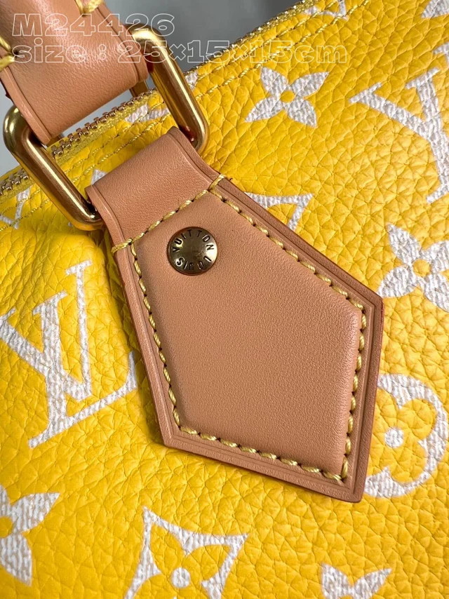 Louis Vuitton Handbags Monogram top-handle bag with detachable shoulder strap product detail image 23
