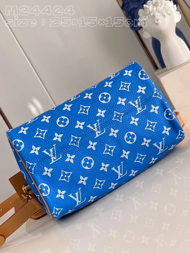 Louis Vuitton Handbags Monogram top-handle bag with detachable shoulder strap product detail image 39