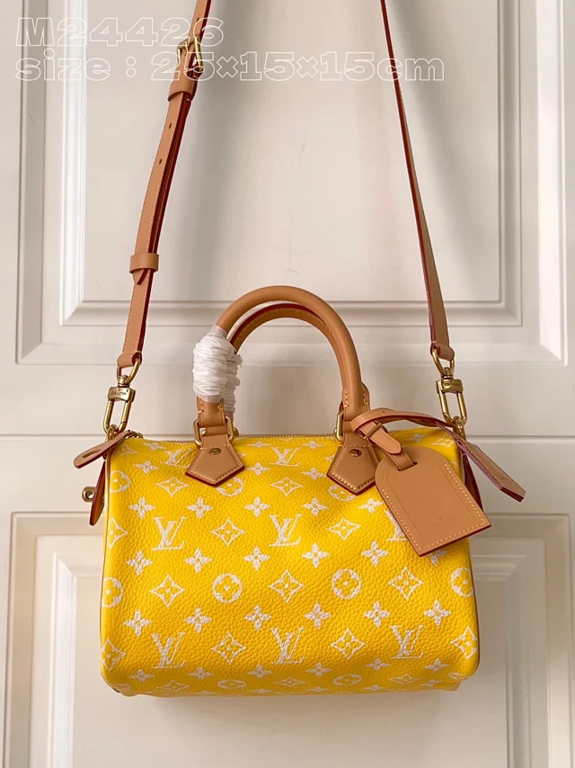 Louis Vuitton Handbags Monogram top-handle bag with detachable shoulder strap product detail image 21