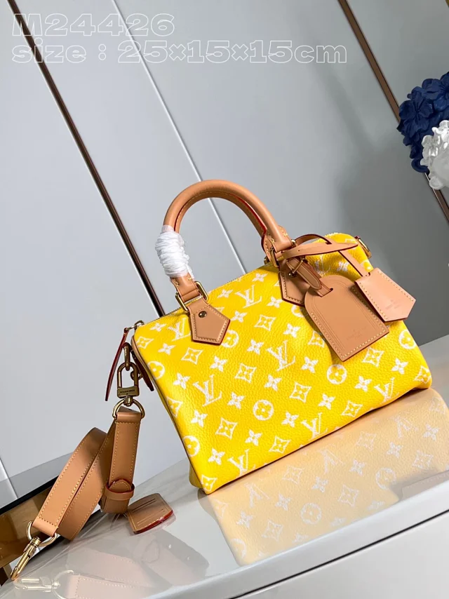 Louis Vuitton Handbags Monogram top-handle bag with detachable shoulder strap product detail image 22