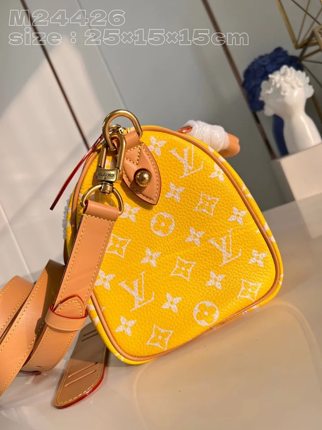 Louis Vuitton Handbags Monogram top-handle bag with detachable shoulder strap product detail image 25