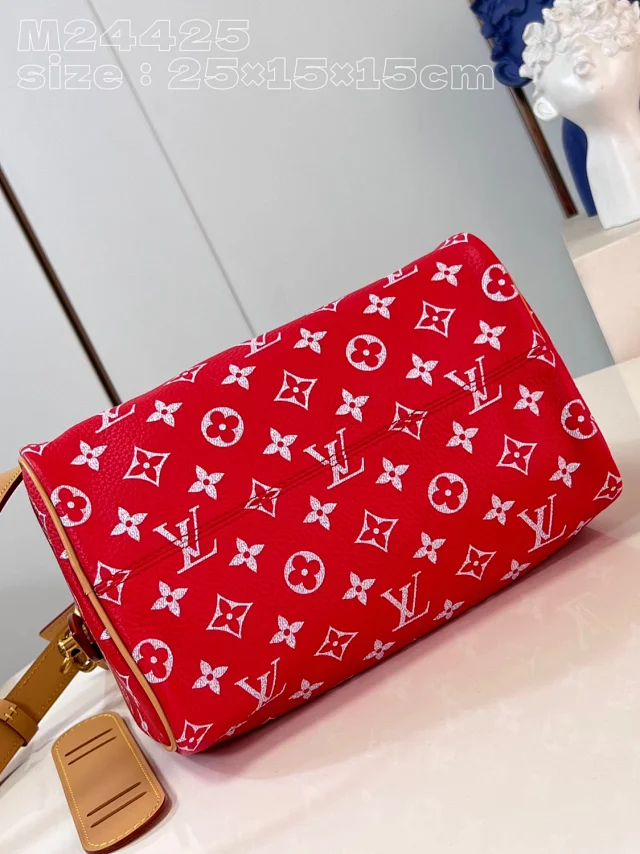 Louis Vuitton Handbags Monogram top-handle bag with detachable shoulder strap product detail image 19