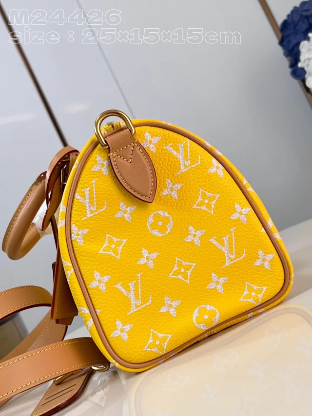 Louis Vuitton Handbags Monogram top-handle bag with detachable shoulder strap product detail image 27
