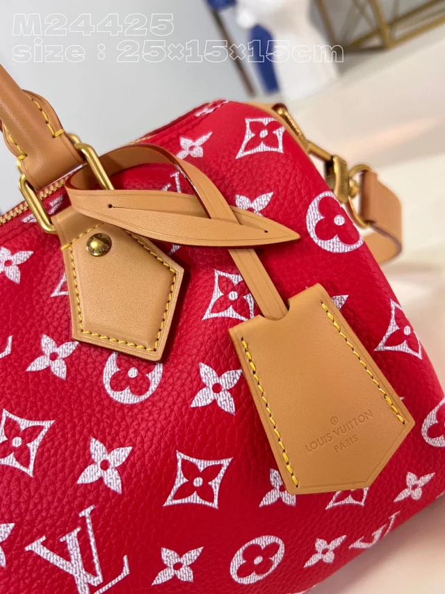 Louis Vuitton Handbags Monogram top-handle bag with detachable shoulder strap product detail image 15
