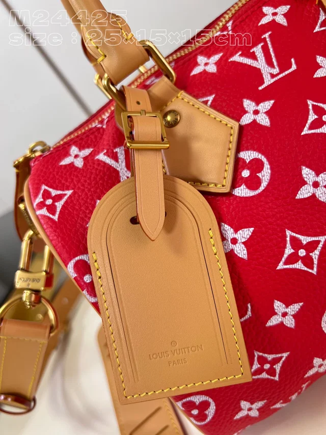 Louis Vuitton Handbags Monogram top-handle bag with detachable shoulder strap product detail image 16