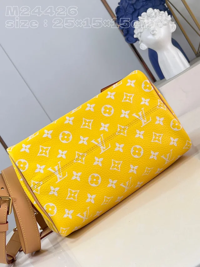 Louis Vuitton Handbags Monogram top-handle bag with detachable shoulder strap product detail image 29